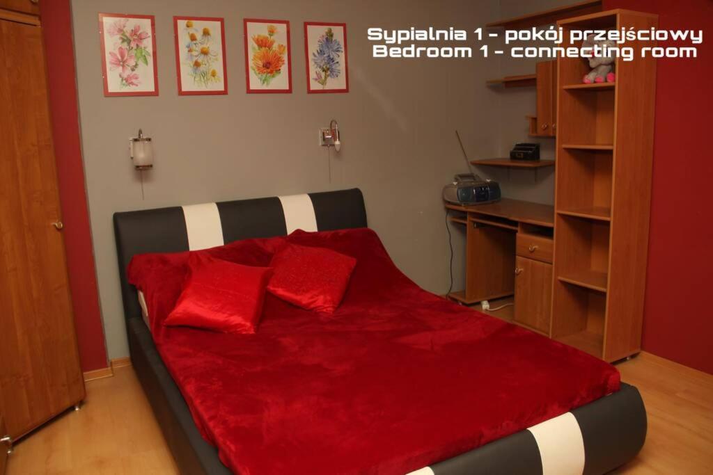דירות שצ'קלארסקה פוראובה Mieszkanie 3- Pokojowe W Sercu Szklarskiej Poreby מראה חיצוני תמונה